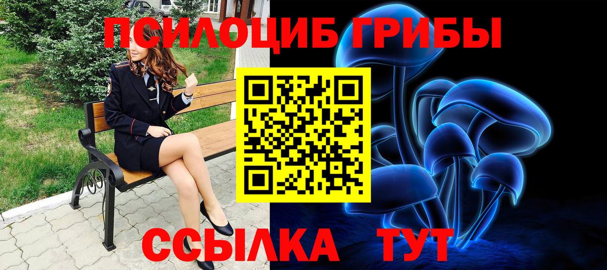 Галлюциногенные грибы Psilocybe Зима