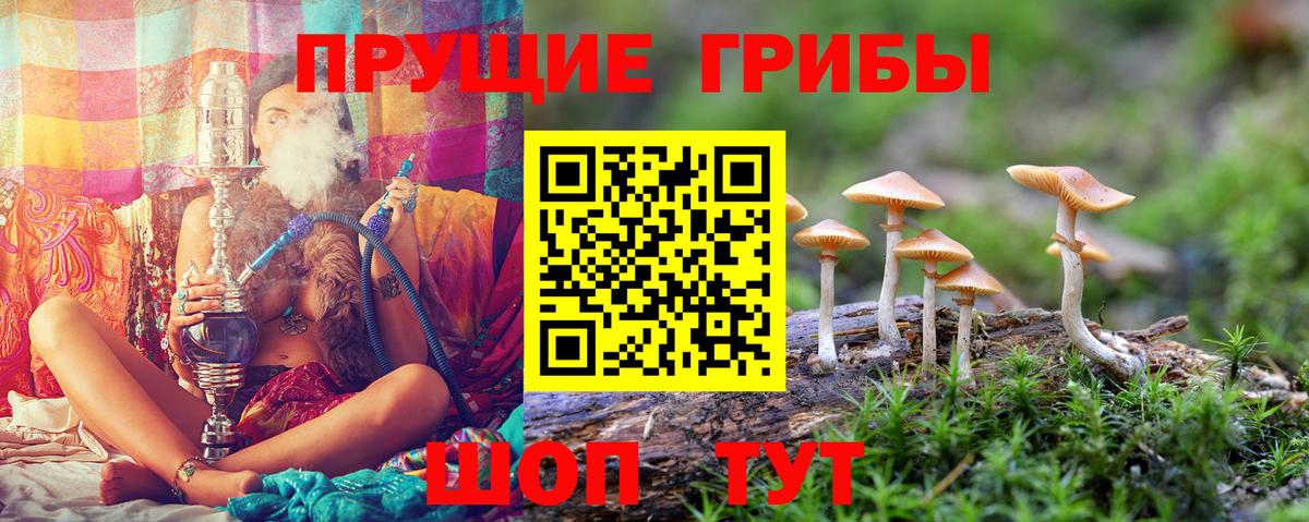 Галлюциногенные грибы Psilocybine cubensis  Вход с VPN  хочу наркоту  Зима 
